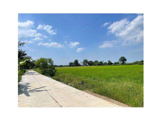 ขายที่ดิน 4 ไร่ ต.หนองแขม อ.หนองแค จ.สระบุรี