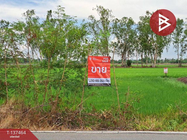 ขายที่ดิน เนื้อที่ 1 งาน 83 ตร.วา พุทธมณฑล นครปฐม