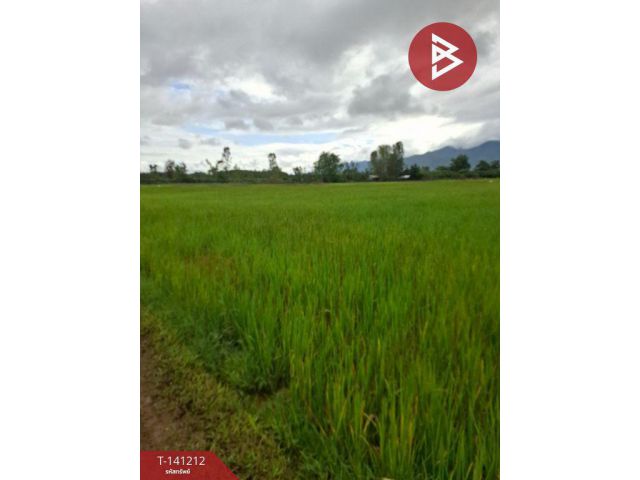 ขายที่ดิน เนื้อที่ 20 ไร่ 3 งาน 4 ตร.วา เทิง เชียงราย