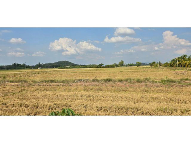 ขายที่ดินวังแดง อุตรดิตถ์ ติดถนนใหญ่ วิวภูเขา ทรงสวย ฮวงจุ้ยดี