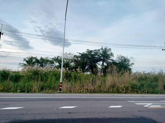 ขายที่ดินโฉนด อยู่บ้านทุ่งเฟื้อ ม.4 ธงชัย วิวนา วิวดี ธรรมชาติ เงียบสงบ