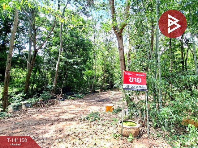 ขายที่ดินพร้อมสิ่งปลูกสร้าง เนื้อที่ 9 ไร่ 10 ตร.วา ต.หมูม้น เชียงขวัญ ร้อยเอ็ด