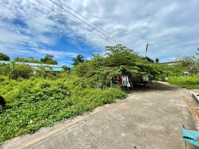 ขายที่ดินเชิงเนินเนื้อที่ 107 ตรว. ซอยสุขใจ ติดถนนคอนกรีตใกล้ถนนเส้นสี่เลน36-90เมตร เมืองระยอง