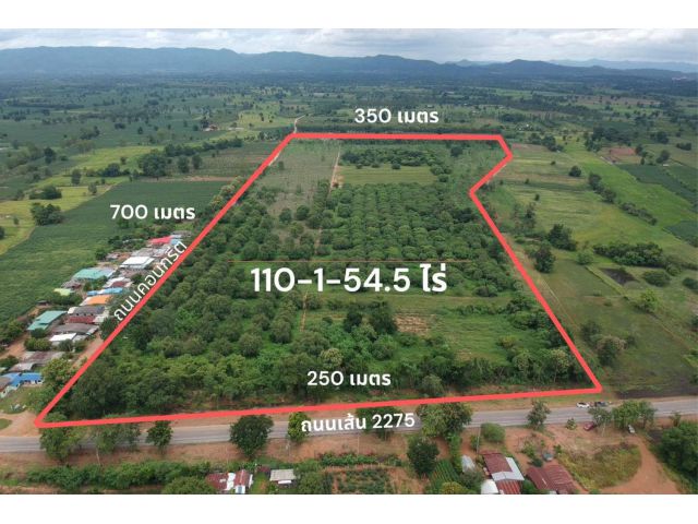 ️ ขายที่ดิน 110 ไร่ 1 งาน 54.5 ตร.วา เพชรบูรณ์ ขายถูก !! เพียงวาละ 2000 บาท ต่อรองได้