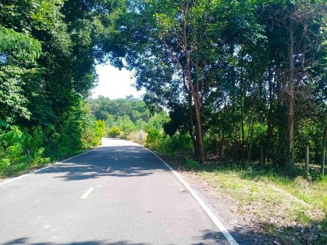 ขายที่ดิน 2 ไร่ ต.คลองขุด อ.ท่าใหม่ จ.จันทบุรี