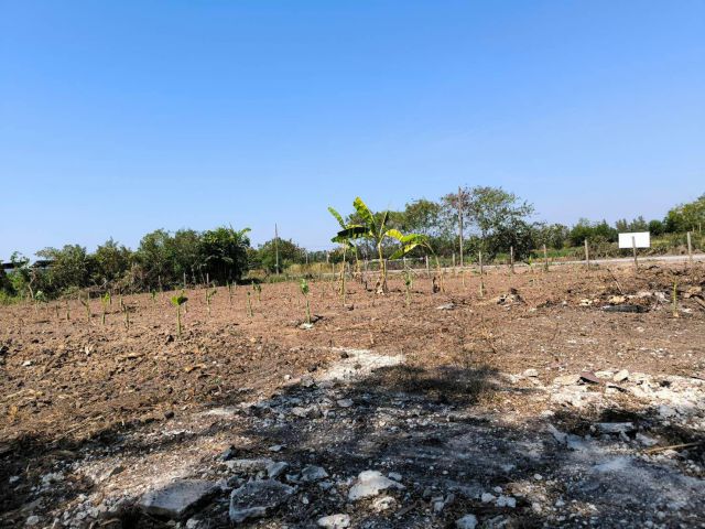 ขายที่ดิน 200 ตรว. ต.คลองหก อ.คลองหลวง จ.ปทุมธานี