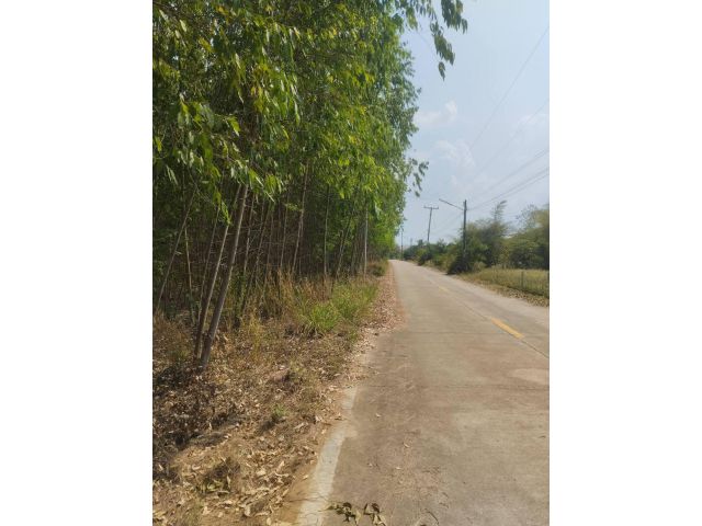 ขายที่ดิน 10 ไร่ บ้านหนองชุมเห็ด ต.เกาะจันทร์ อ.เกาะจันทร์ จ.ชลบุรี