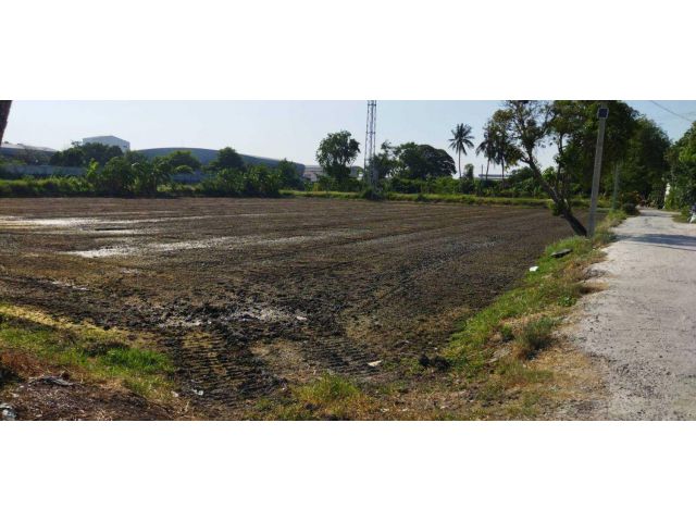 ขายที่ดิน 4 ไร่ ต.ไร่ขิง อ.สามพราน จ.นครปฐม