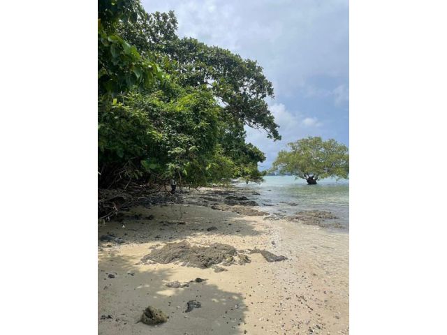 ประกาศขายที่ดินติดหาด เกาะโหลน จังหวัดภูเก็ต ขายยกแปลง เจ้าของขายเอง