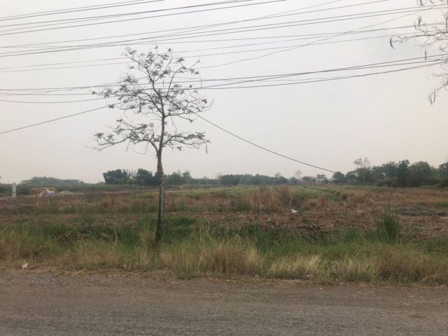 ขายที่ดิน 2 แปลง ขายถูก คลองสิบสอง หนองจอก กรุงเทพมหานคร รวม 14-1-71 วา ️ขายเพียงวาละ 4,500 บาท