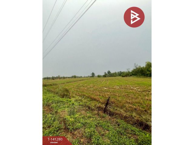 ขายที่ดิน 12 ไร่ 1 งาน 76.1 ตร.วา ขาณุวรลักษบุรี กำแพงเพชร