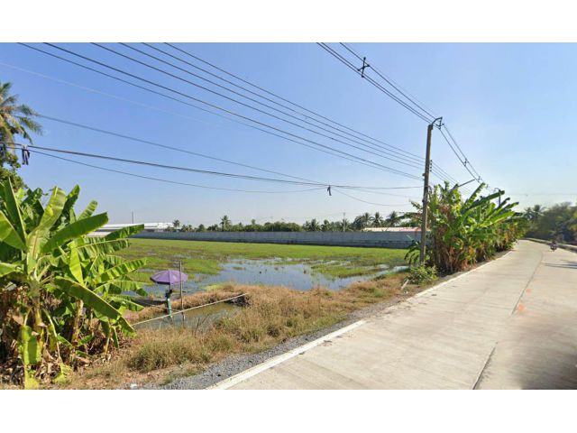 ขายที่ดิน 10 ไร่ ติดถนนคอนกรีต ต.ท่าเสา อ.กระทุ่มแบน สมุทรสาคร