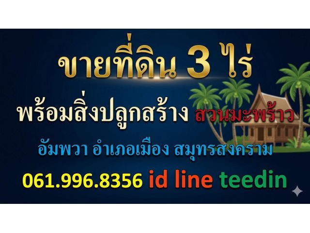 ขายที่ดิน 3 ไร่ พร้อมสิ่งปลูกสร้าง สวนมะพร้าว อัมพวา อำเภอเมือง สมุทรสงคราม