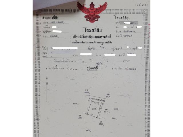 แปลงสวย 1 ไร่ ครุฑแดง เจ้าของขายเอง ฟรีค่าโอน