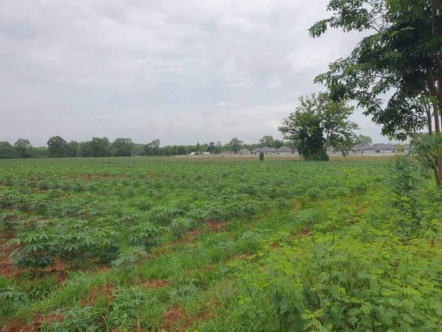 L1162 ขายที่ดิน 41 ไร่ ใกล้นิคมฯ304 ศรีมหาโพธิ ปราจีนบุรี