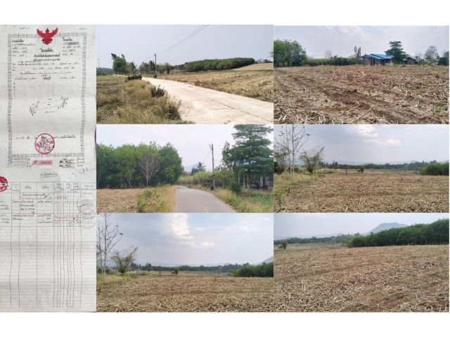 ที่ดินโฉนดทางลาดยาง มีไฟฟ้า ประปา 9-1-50 ไร่ อ.เชียงคาน จ.เลย
