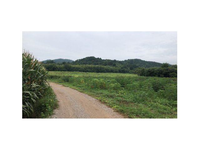 ขายที่ดิน 105 ไร่ ต.นาเฉลียง อ.หนองไผ่ จ.เพชรบูรณ์