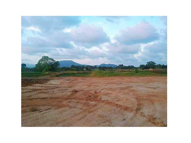 ขายที่ดิน 31 ไร่ ใกล้หาดแม่รำพึง ต.ตะพง อ.เมืองระยอง จ.ระยอง
