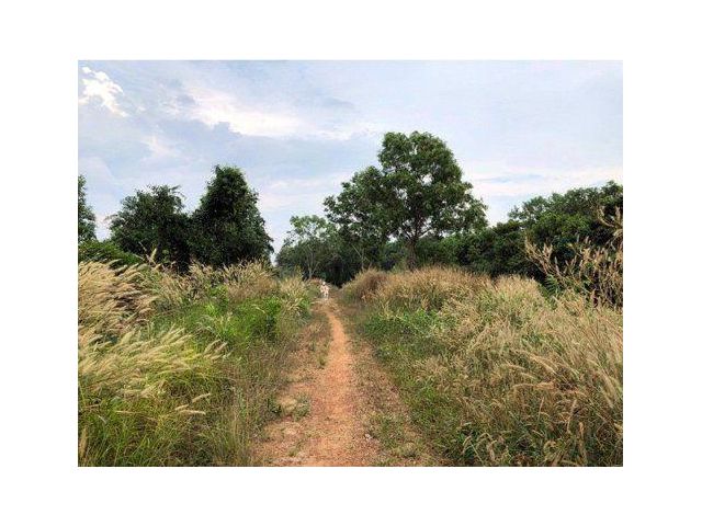 ขายที่ดิน 1,000 ไร่ ติดแม่น้ำเวฬุ ใกล้ถนนใหญ่ ต.แสนตุ้ง อ.เขาสมิง จ.ตราด