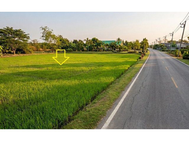 ที่ดินเพื่อก่อสร้างโรงงานอุตสาหกรรมและคลังสินค้า (สีม่วง) วังขนาย