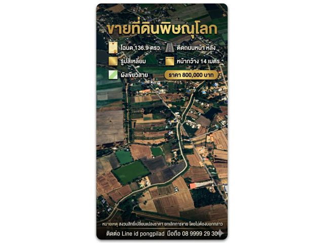ขายที่ดินพิษณุโลก ท่าทอง 136.9 ตรว.ติดถนนหน้า หลัง