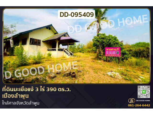 ที่ดินมะเขือแจ้ 3 ไร่ 390 ตร.ว. เมืองลำพูน ใกล้ศาลจังหวัดลำพูน DD-095409