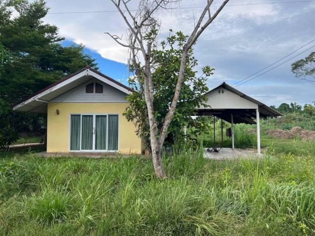 ขายที่ดินบางเสร่ 3 ไร่ ซอยเทศบาล32 ใกล้ถนนเส้นสุขุมวิท3-500เมตร อ.สัตหีบ จ.ชลบุรี