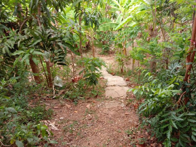 ขายที่ดินพร้อมบ้านสวน ต.บ้านเหล่า อ.สูงเม่น แพร่ 4 ไร่ 1 งาน 43.5 ตร.วา ทำเลดี ติดถนน ใกล้ชุมชน พร้อมลงทุนเกษตรต่อเนื่อง