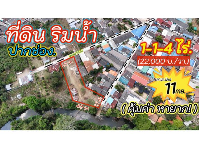 ขายที่ดินติดริมน้ำเมืองปากช่อง (1-1-4 ไร่.)วาล่ะ 22,000 บาท