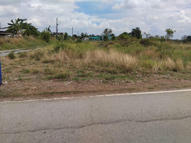 ขายที่ดิน ต.หนองกบ อ.หนองแซง จ.สระบุรี