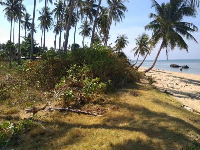ที่ดินติดหาดในเกาะลันตา