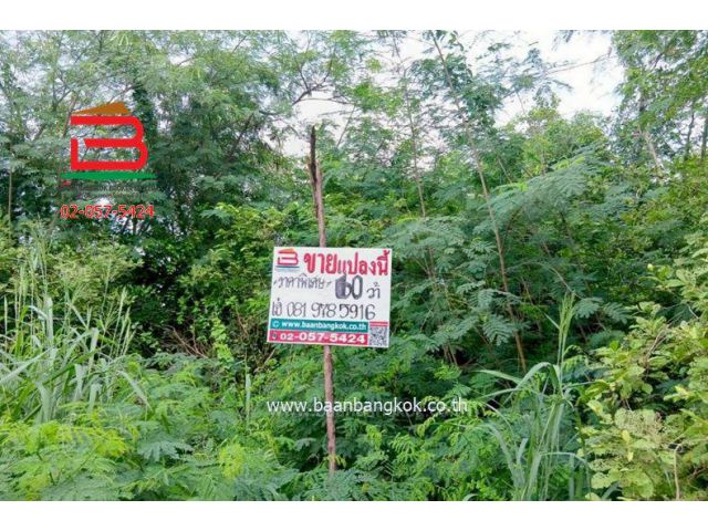 ที่ดิน ซอยสามร้อยยอด 20, ซอยสามร้อยยอด 1 เนื้อที่ 60 ตร.ว (ใกล้หาดสามร้อยยอด) อำเภอสามร้อยยอด จังหวัดประจวบคีรีขันธ์