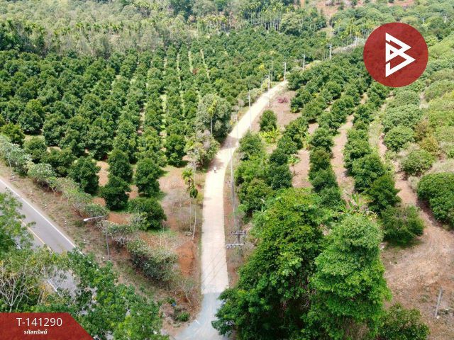 ขายที่ดิน เนื้อที่ 98 ไร่ 2 งาน 62.3 ตร.วา สวนลไม้ผสม ตกพรม เมือง จันทบุรี