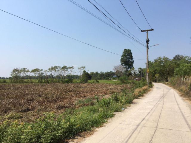 ขายที่ดิน 15 ไร่ ต.บางอ้อ อ.บ้านนา. จ.นครนายก