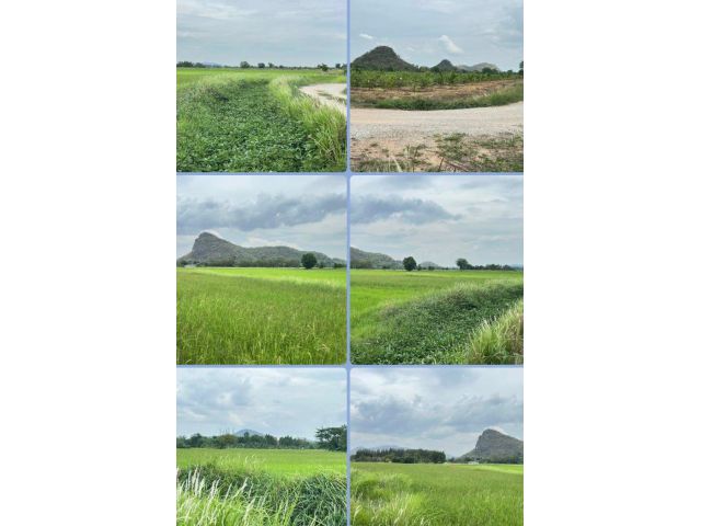 ที่ดินสวยๆ วิวเขา อากาศดี
