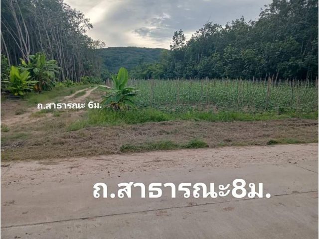 ที่ดินสวย บรรยากาศดีมาก