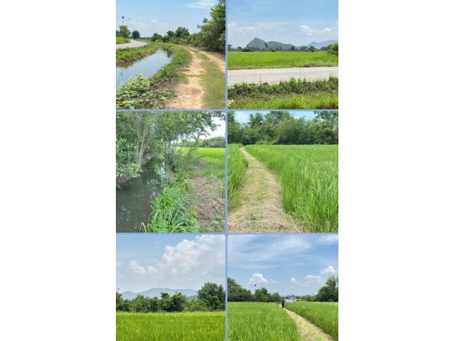 ที่นาติดคลอง วิวเขา