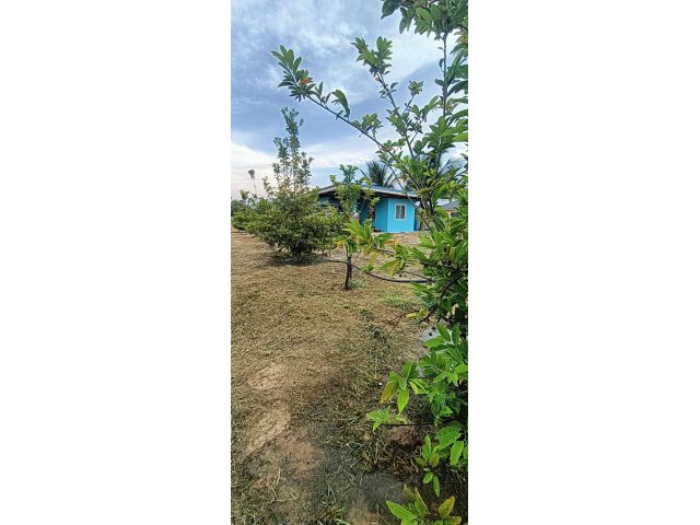 ขายที่ดิน โฉนดครุฑแดง