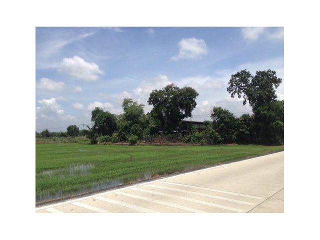 ขายที่ดิน 50 ไร่ คลองหก ติดถนนเลียบคลองหก ใกล้สวนสัตว์ปทุมธานี ต.บึงคำพร้อย อ.ลำลูกกา จ.ปทุมธานี