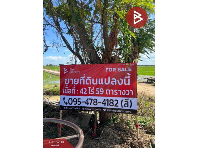 ขายที่นา เนื้อที่ 42 ไร่ 59 ตารางวา เดิมบางนางบวช สุพรรณบุรี