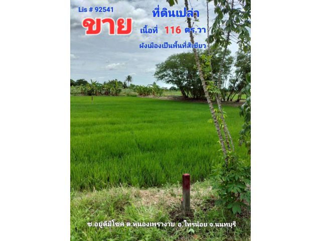 ขาย ที่ดินเปล่า ต.หนองเพรางาย อ.ไทรน้อย จ.นนทบุรี