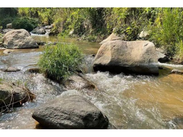 ขายที่สวนติดลำห้วยยาว 500 เมตร สบเปิงแม่แตงห่างถนนหลัก 200เมตร
