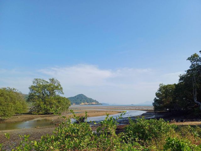 ขายที่ดินแปลงสวยมาก ใกล้ท่า เรือ อ่าวปอ จ .ภูเก็ต เอกสารโฉนด พื้นที่ โฉนด 8-1-67 ไร่ และมี ที่ดินครอบครอง ประมาณ 2-2-99