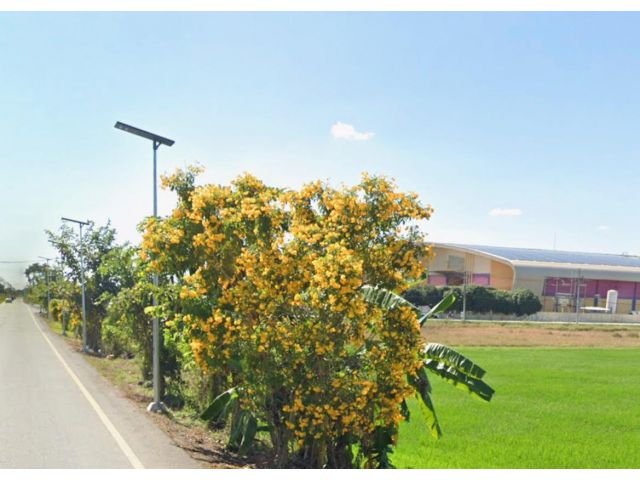 ขายที่ดินพื้นที่สีม่วงเข้ม 207ไร่ (100ไร่ และ107ไร่)