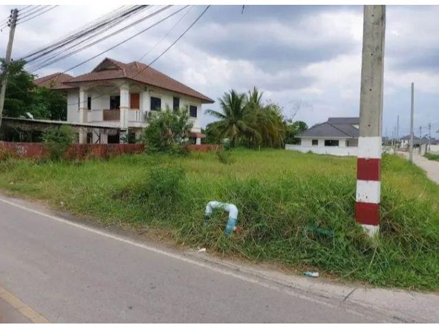 ขายที่ดินตำบลหนองแฝกสารภีติดถนนสองด้านโฉนด