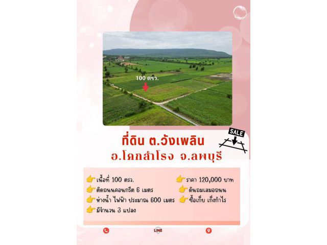ที่ดิน ต.วังเพลิน อ.โคกสำโรง จ.ลพบุรี เนื้อที่ 100 ตรว. กว้าง 17.01 ลึก 30.79 เมตร ราคา 120,000 บาท เนื้อที่ 100 ตรว.