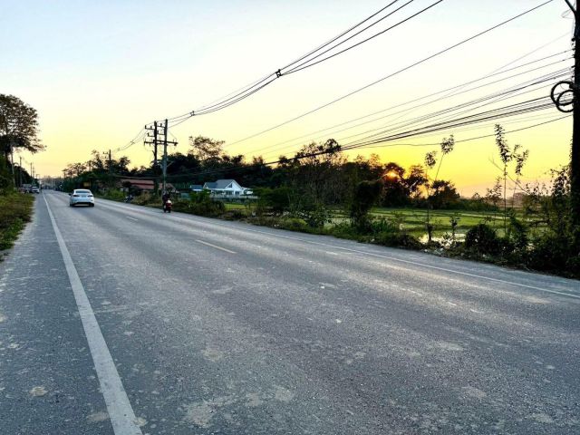 ขายที่ดินติดถนนหลักสันกำแพงดอยสะเก็ตพร้อมโอน