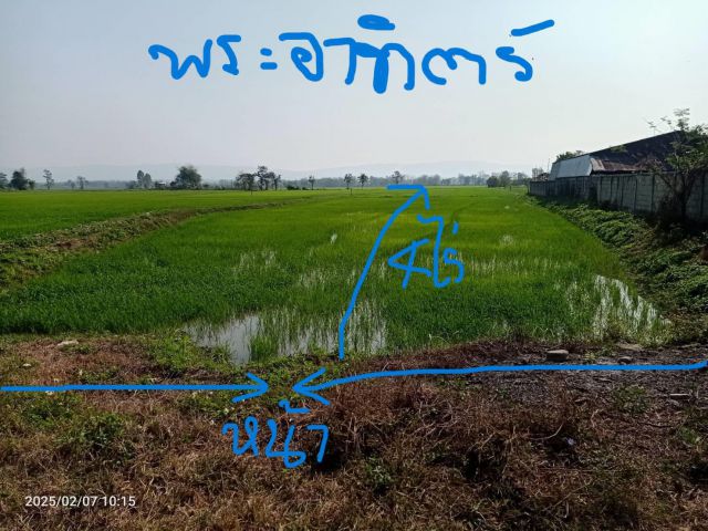 ที่นา4ไร่