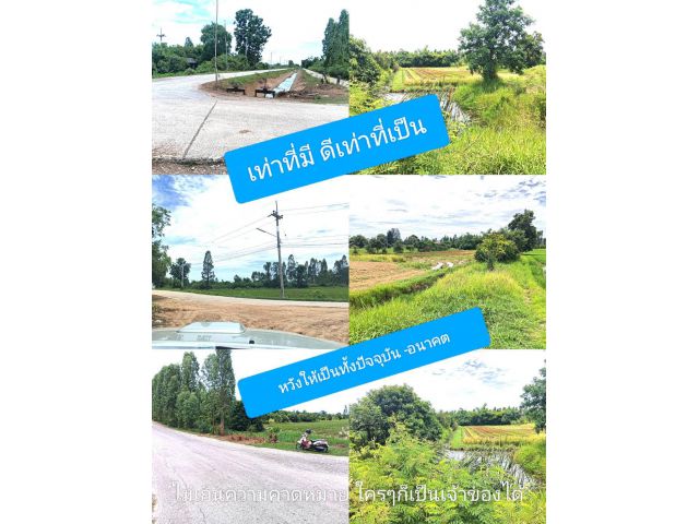!นื่องด้วยแปลงนี้สวยจริง เราจึงไม่สามารถปฏิเสธได้ โปรดเข้าใจตรงกันนะครับ ไม่เอาอะไรเทาๆเราไม่บอก แปลงนี้ดีเราจึงบอกชัวร์