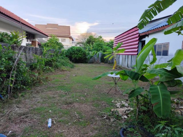 ขายที่ดินตำบลสุเทพถนนเลียบคลองชลประทานพร้อมโอน